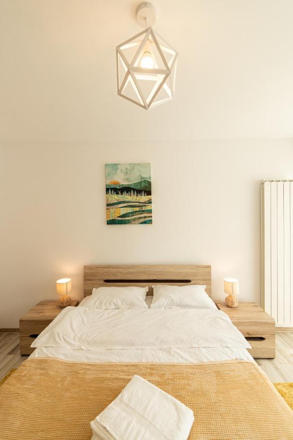 Citadel Apartament'S Rîşnov 外观 照片