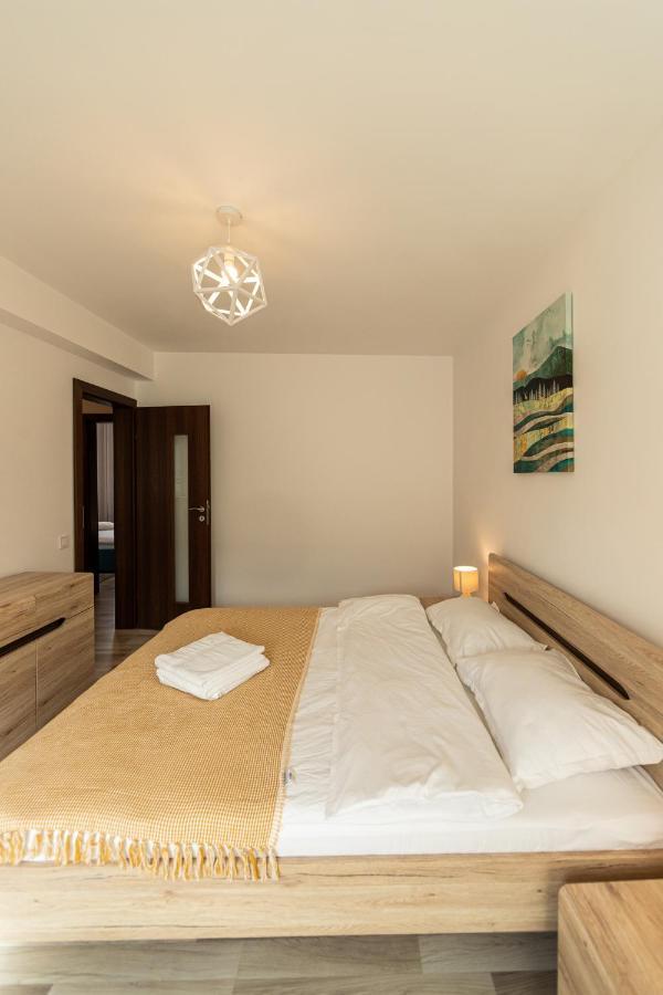 Citadel Apartament'S Rîşnov 外观 照片